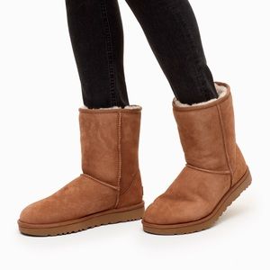 Classic Ugg Boots - short & tan
